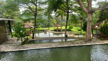 Savana Agro Resto & Venue, Nuansa Alam yang Menyenangkan di Lampung